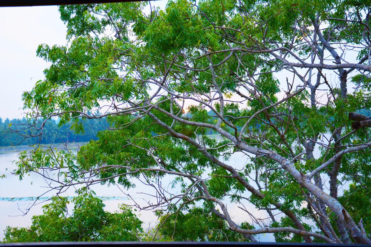 Diya Dahara Lake Resort Yala Buitenkant foto