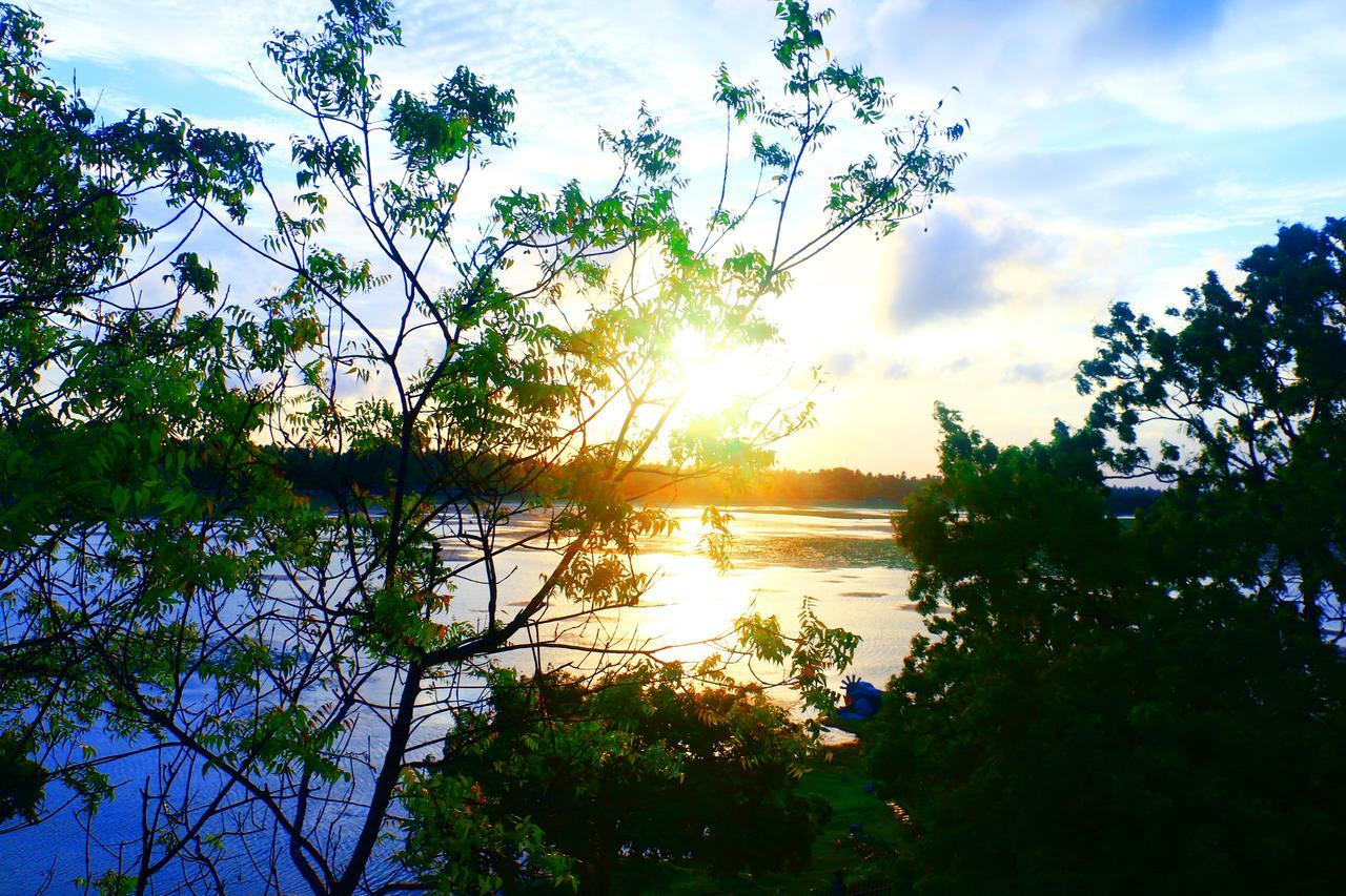 Diya Dahara Lake Resort Yala Buitenkant foto